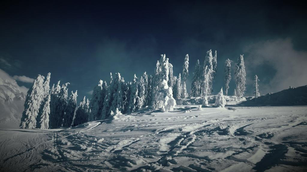 Hotel Pension Barbara Sankt Martin am Tennengebirge Bagian luar foto